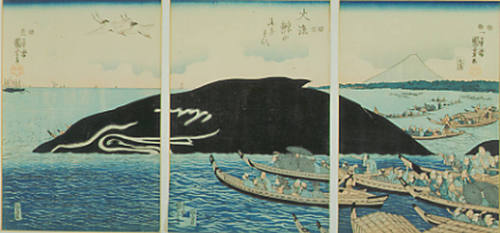 Tairyo kujira no nigiwai [Big Catch. Prosperity of the Whale